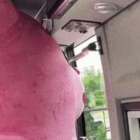 Fun Love GIF