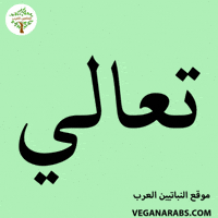 Middle East Wow GIF by VeganArabs