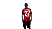 Sticker by Eintracht Frankfurt