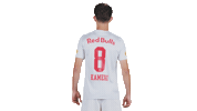 Football Sport Sticker by FC Red Bull Salzburg