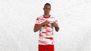 Champions League Football GIF by RB Leipzig