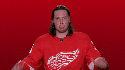 Red Wings Sport GIF by Detroit Red Wings