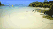 survivorau GIF by Australian Survivor