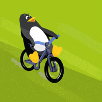 Bike Park Sport GIF by Grupa Pingwina
