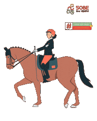 Sport Horse Sticker by SOBE Vakfı