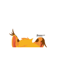 Summer Lynx Sticker by Poszukiwacze Przygód