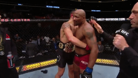 Mma Respect GIF by UFC