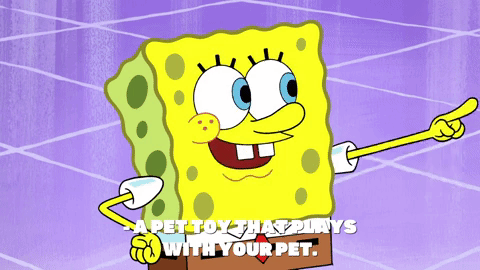 season 9 gary's new toy GIF by SpongeBob SquarePants