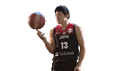 World Cup Game Sticker by FIBA