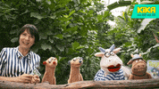 happy friends GIF by KiKA