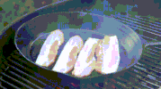 food porn bacon GIF