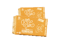 Bebida Kombucha Sticker by Komvidakombucha