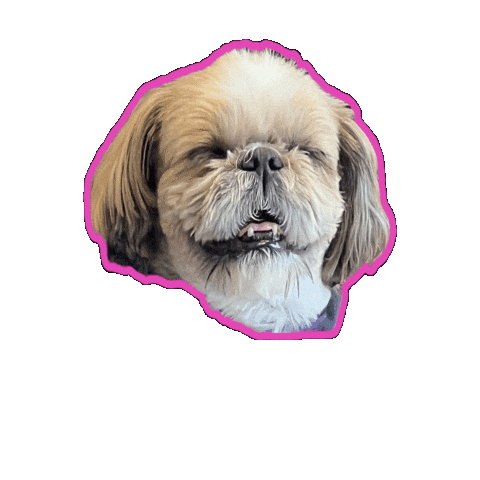Animated Sticker