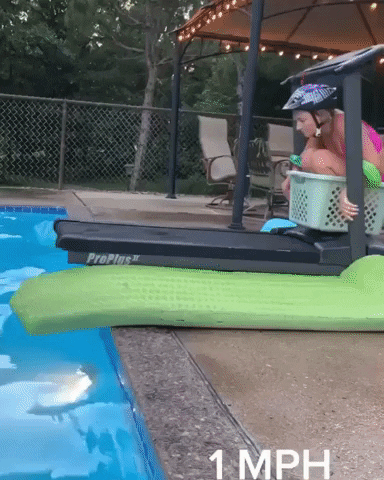 GifJungle giphyupload GIF