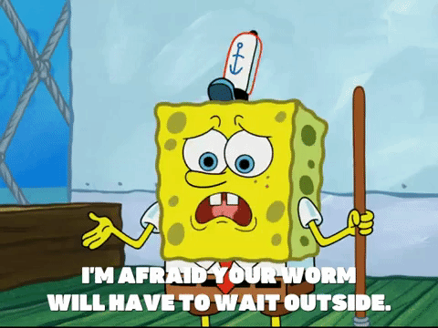 season 7 keep bikini bottom beautiful GIF by SpongeBob SquarePants