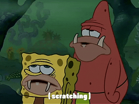 giphy.gif