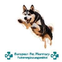 Epp Canicross Sticker by Europeanpetpharmacy