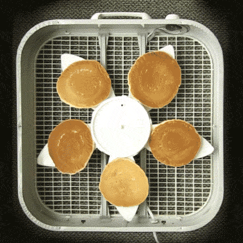 humor lol GIF by Lance Ford