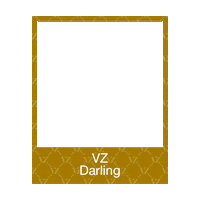 Fashion Frame Sticker by VIVI ZUBEDI