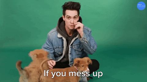 Brendon Urie Dont Mess Up GIF by BuzzFeed