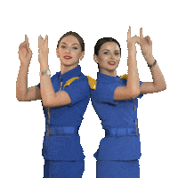 flyuia swipe up swipe aviation свайп Sticker