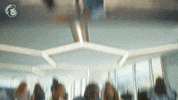 Teamwork Lol GIF by Mailchimp
