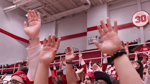 Letsgopeay Governors GIF by Austin Peay Athletics