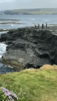 Video of Children Cliff-Diving in Ireland Sparks Warning From Officials