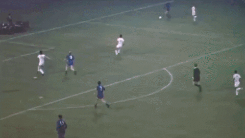 denisromantsov giphyupload GIF