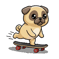 Skating Skate Park Sticker by Pugs