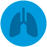 Cf Sticker by Cystic Fibrosis Foundation