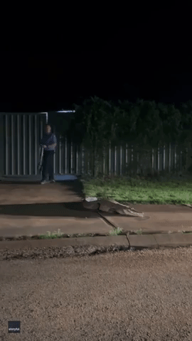 Police Officer Tries to Restrain Crocodile With Towel