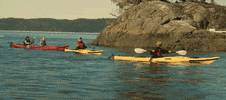 Kayaking Canadian GIF by CanFilmDay