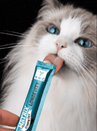 Cat Food GIF by Yeniçağ Veteriner Ecza