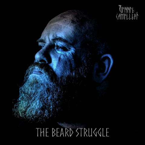 vinniecamilleri giphygifmaker viking norse the beard struggle GIF