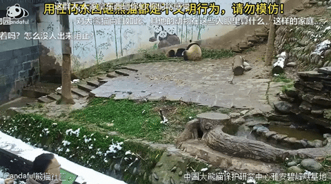 ehdgus1211 giphyupload GIF