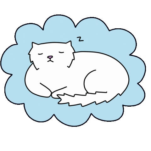 infactcat giphyupload cat sleepy kitten Sticker