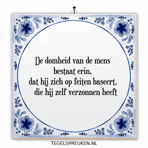 Humor Reflectie GIF by Tegelspreuken.nl