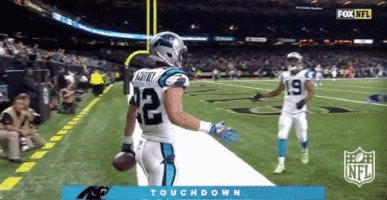 carolina panthers football GIF by NFL