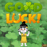 Boa Sorte Good Luck GIF by Zhotcita