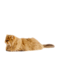 mmb monetakocour Sticker by MonetaMoneyBank