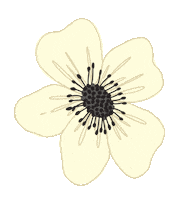 Happy Flower Sticker