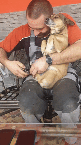 uuusssuuu giphyupload GIF