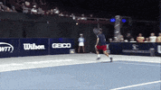 Hot Shot Sport GIF by World TeamTennis