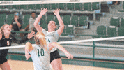 GIF by Jacksonville University