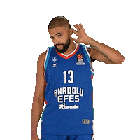 Basketball Darius Sticker by Anadolu Efes SK