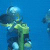fish GIF