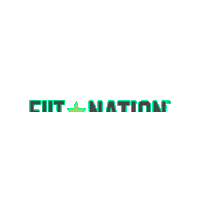 FIITNation workout work out fn fiit Sticker