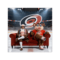 Carolina Hurricanes Sticker
