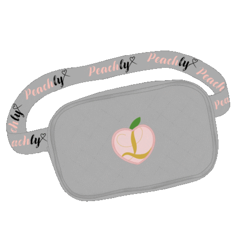 peachly-de giphyupload animation drawing bag Sticker